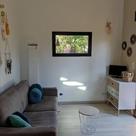 Apartment Cocon La Tete Dans Les Pins Les Pieds Dans L Eau, Climatise *