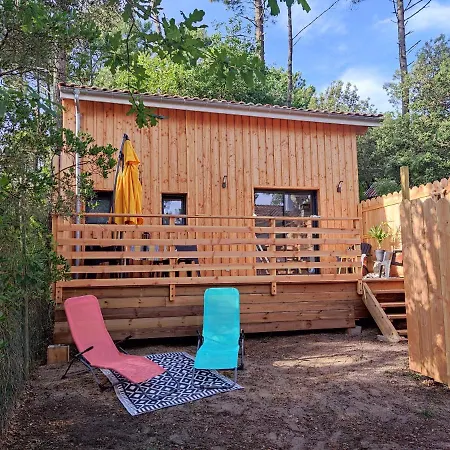 2 Etoiles La Tete Dans Les Pins Les Pieds Dans L Eau Apartment *